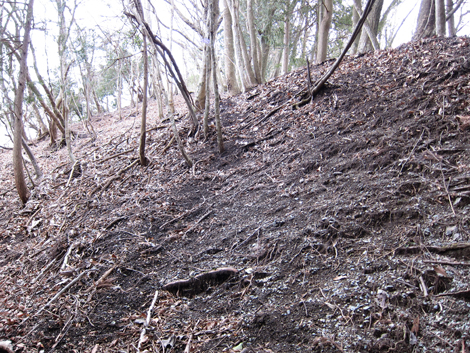 20190205hike (252)